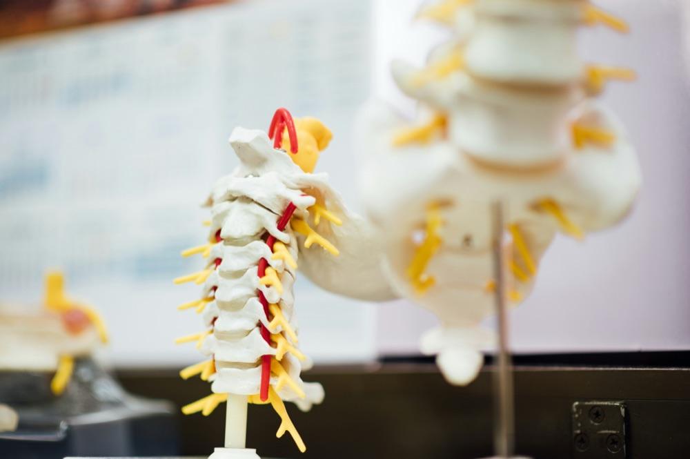 Spine Surgery